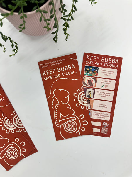 Safe Bubba Brochure & Fridge Magnet Insert